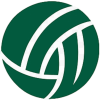cropped-Nick-Tesi-Consulting-Favicon-Transparent-Background.png